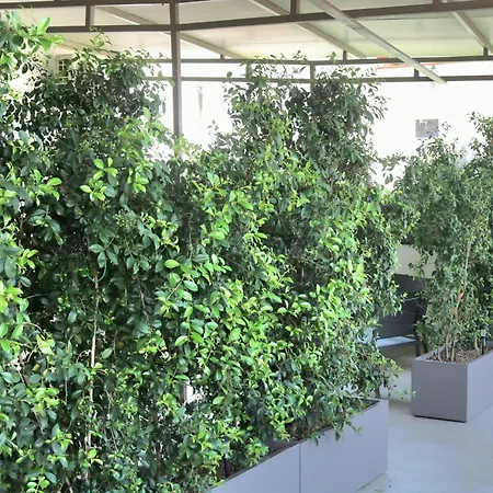 Parthenope Stopover Naples